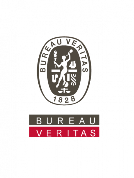 Bureau veritas logo