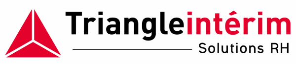 Triangle Interim Logo